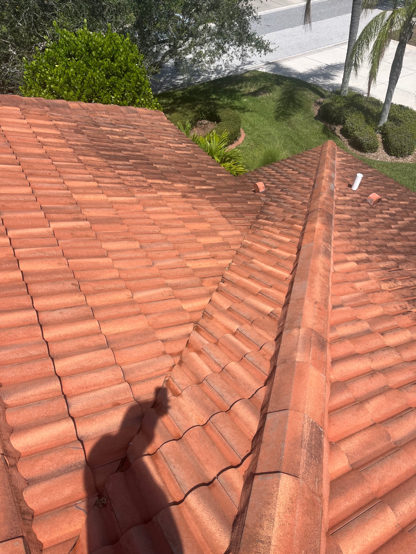 Tile roof soft wash completed at a Greyhawk Landing home in Bradenton