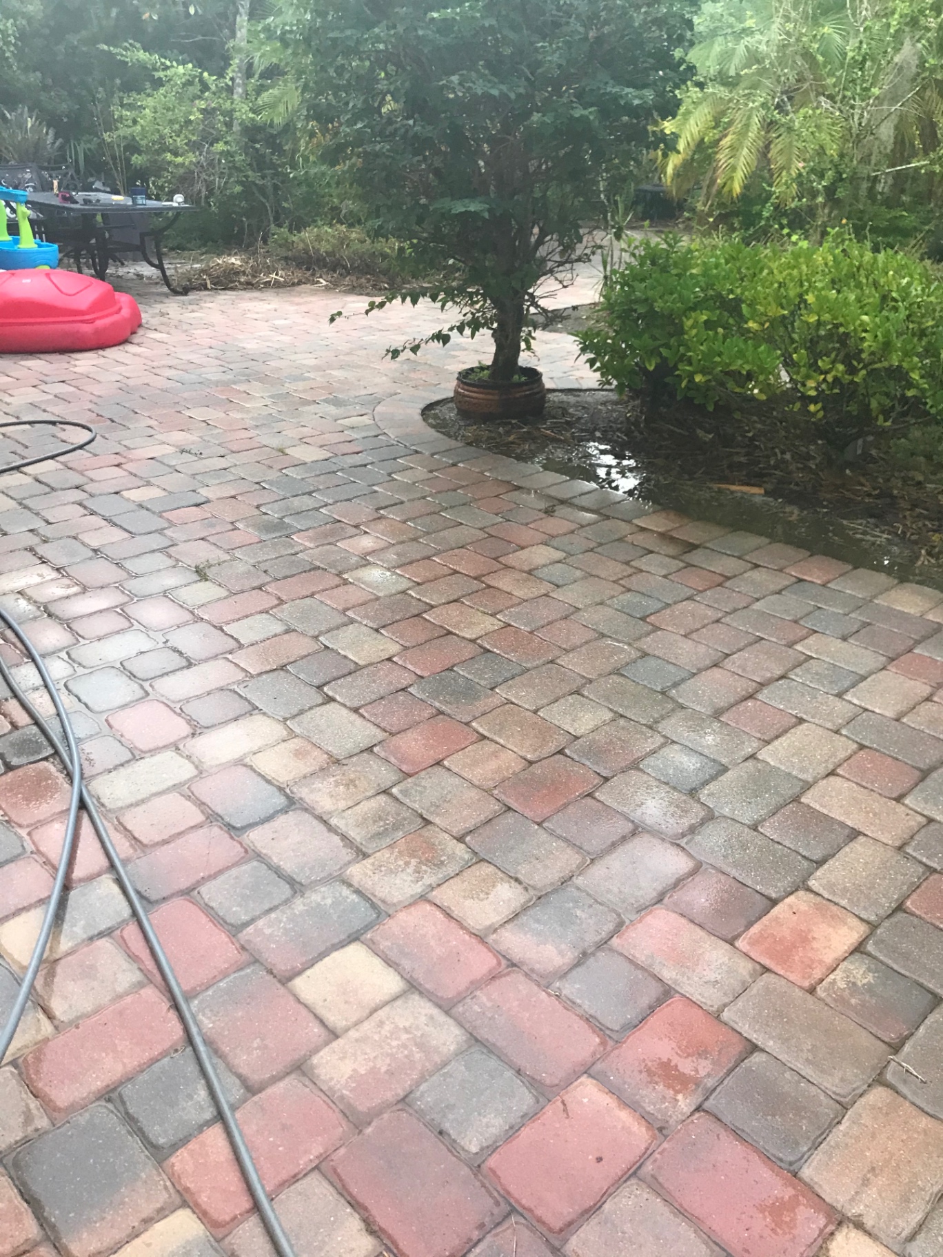 After photo of cleaned pavers at a Greyhawk Landing home