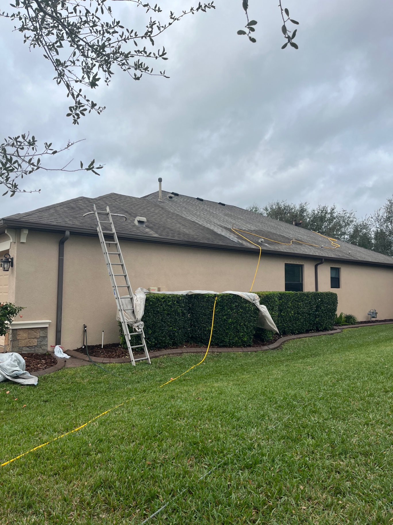Shingle roof soft wash in progress at Greyhawk Landing