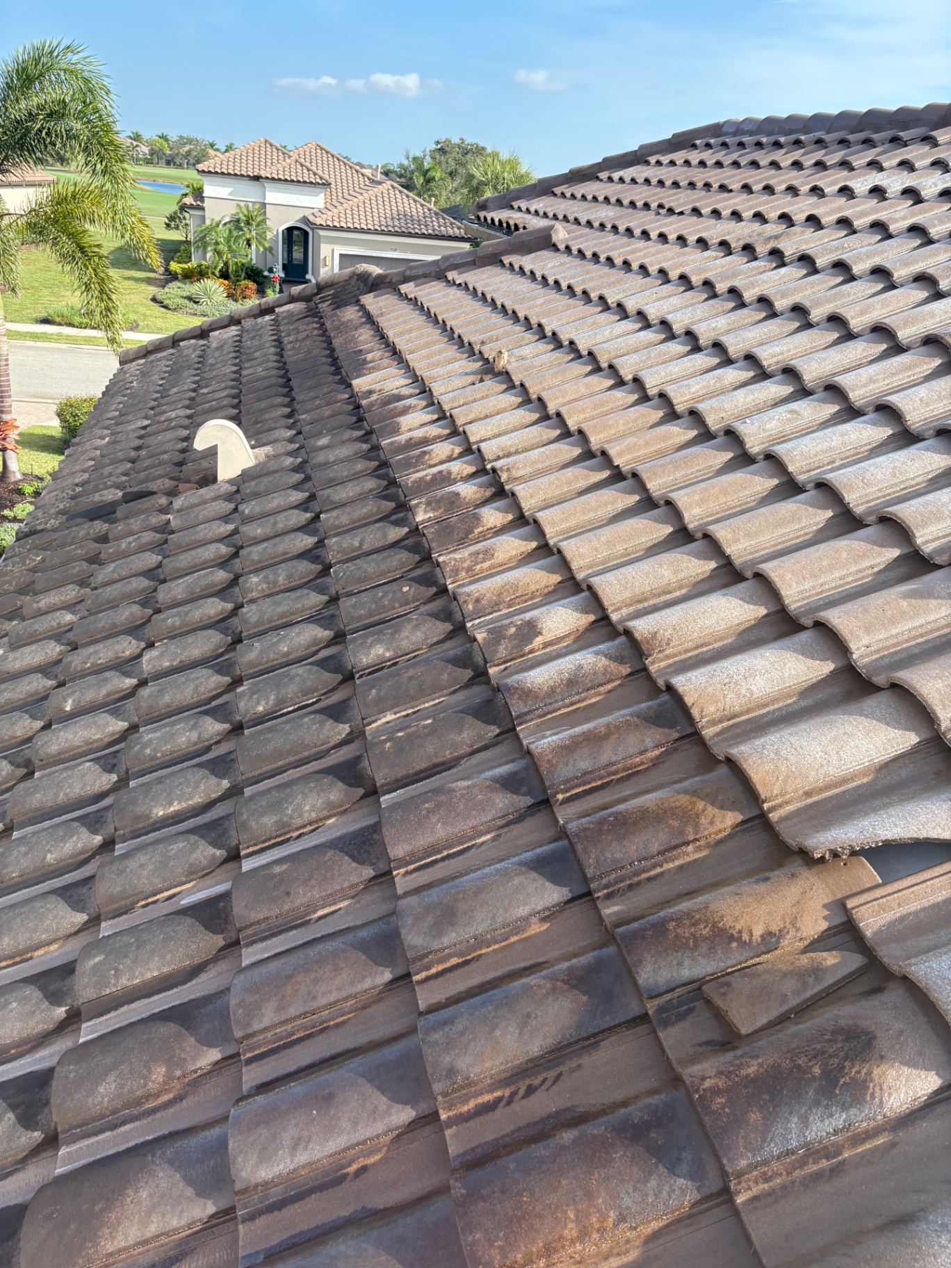 Tile roof with heavy organic staining at an Esplanade Golf & Country Club home prior to soft wash