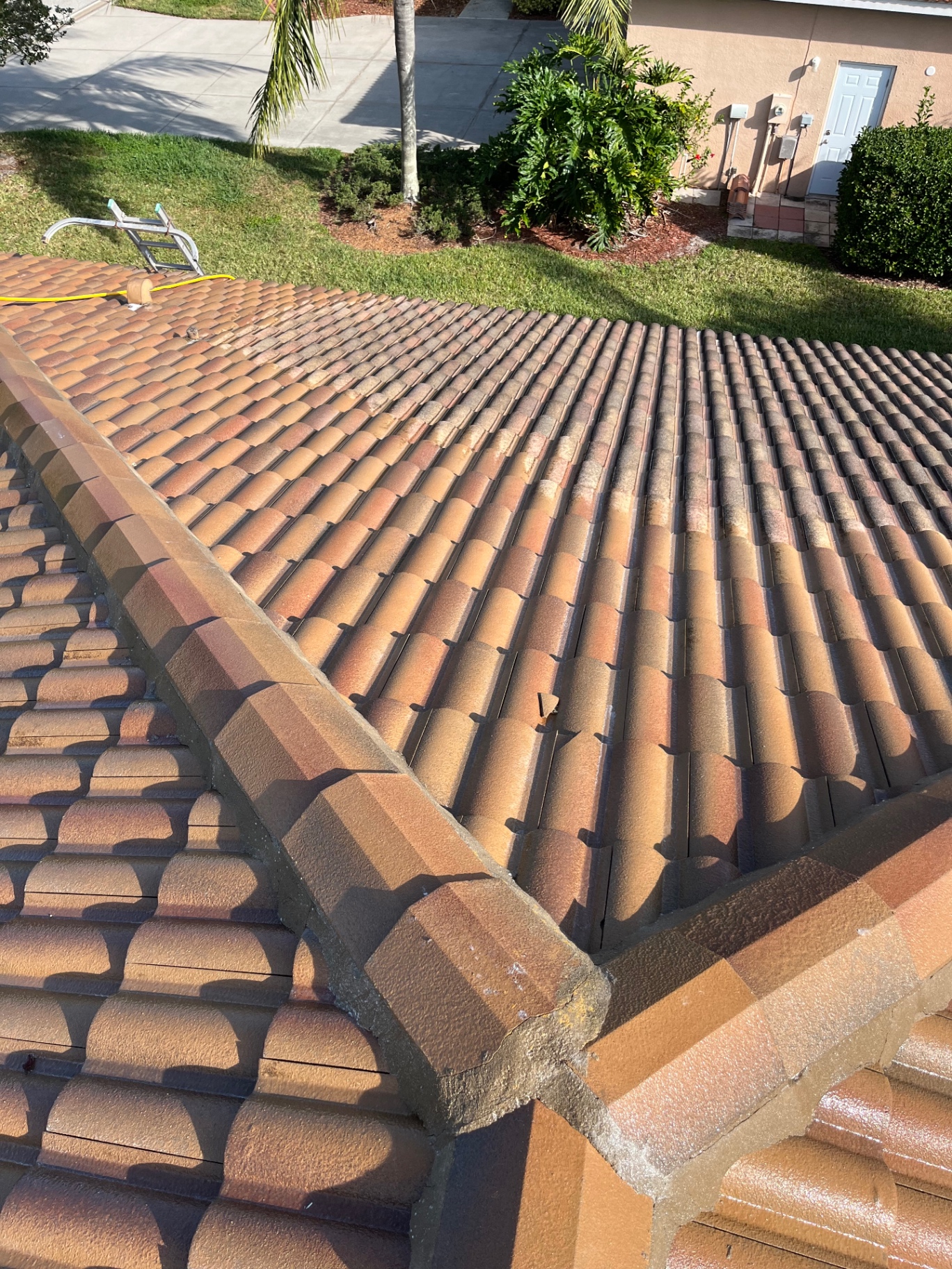 Tile roof cleaned by 2 Bros & A Hose in Greyhawk Landing