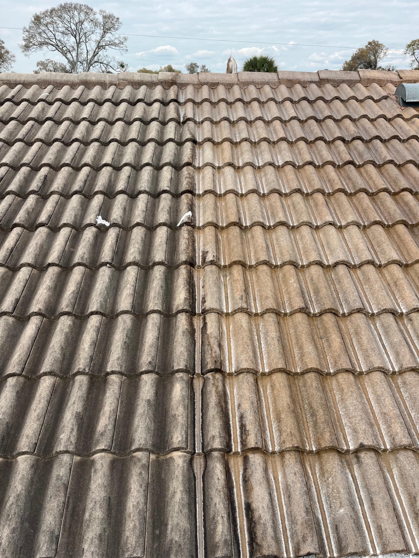 Before photo of stained tile roofing at a Tara Golf & Country Club property