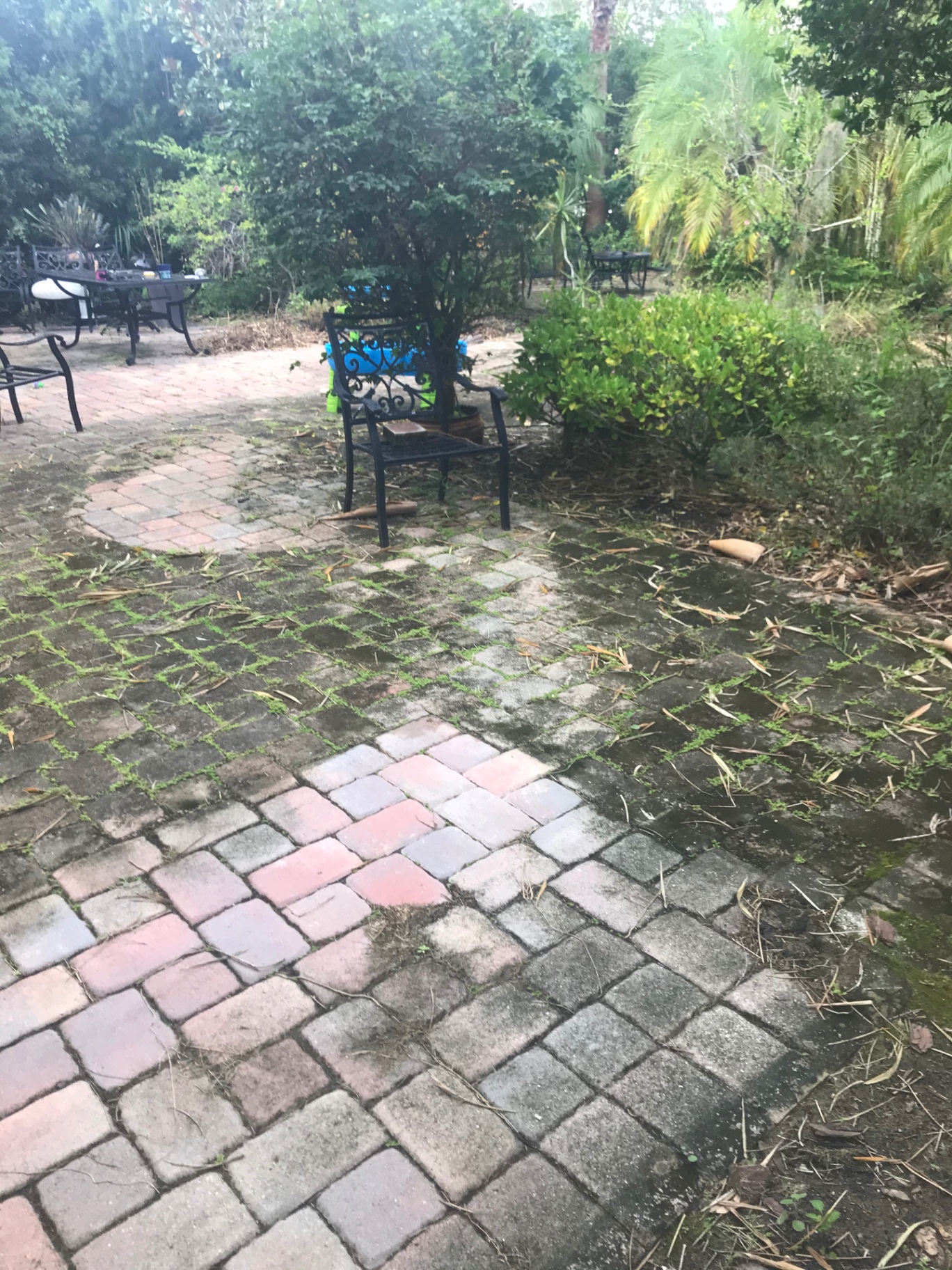 Before photo of dirty pavers at a Greyhawk Landing home