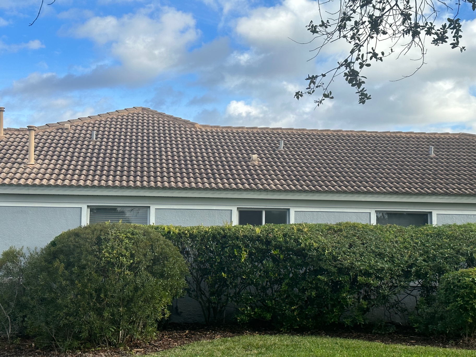 Tile roof with organic staining before soft wash at Country Club East